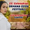 55.GELENEKSEL ORMANA ÜZÜM FESTİVALİ ELİF BUSE DOĞAN KONSERİ